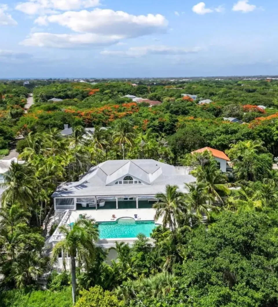 Aerial view of the Avante property, with a pool and palm trees.