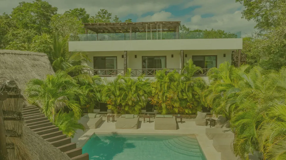 Basse Ibogaine residence and pool surrounded by palms near Tulum