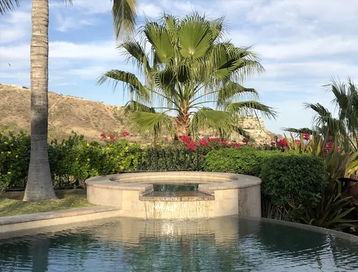Pool and raised spa surrounded by palms in the POI Ibogaine Institute photo gallery