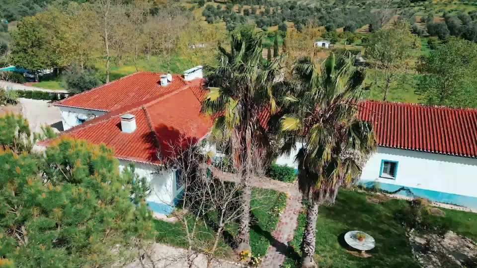 White buildings with red tile roofs and palms at Tabula Rasa Retreat.
